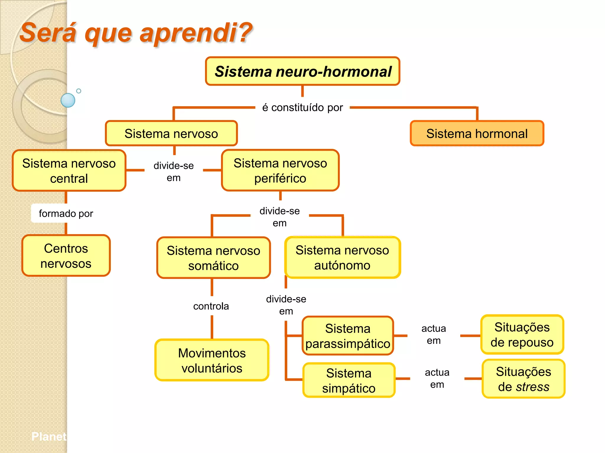 Será que aprendi?
                                   Sistema neuro-hormonal

                                              é constituído por

                  Sistema nervoso                                          Sistema hormonal

Sistema nervoso       divide-se           Sistema nervoso
     central             em                   periférico

  formado por                                 divide-se
                                                 em

   Centros                 Sistema nervoso            Sistema nervoso
  nervosos                     somático                  autónomo

                                               divide-se
                               controla           em
                                                             Sistema       actua      Situações
                                                          parassimpático    em       de repouso
                            Movimentos
                            voluntários                      Sistema       actua     Situações
                                                            simpático       em       de stress


 Planeta Terra — 9.º ano
 