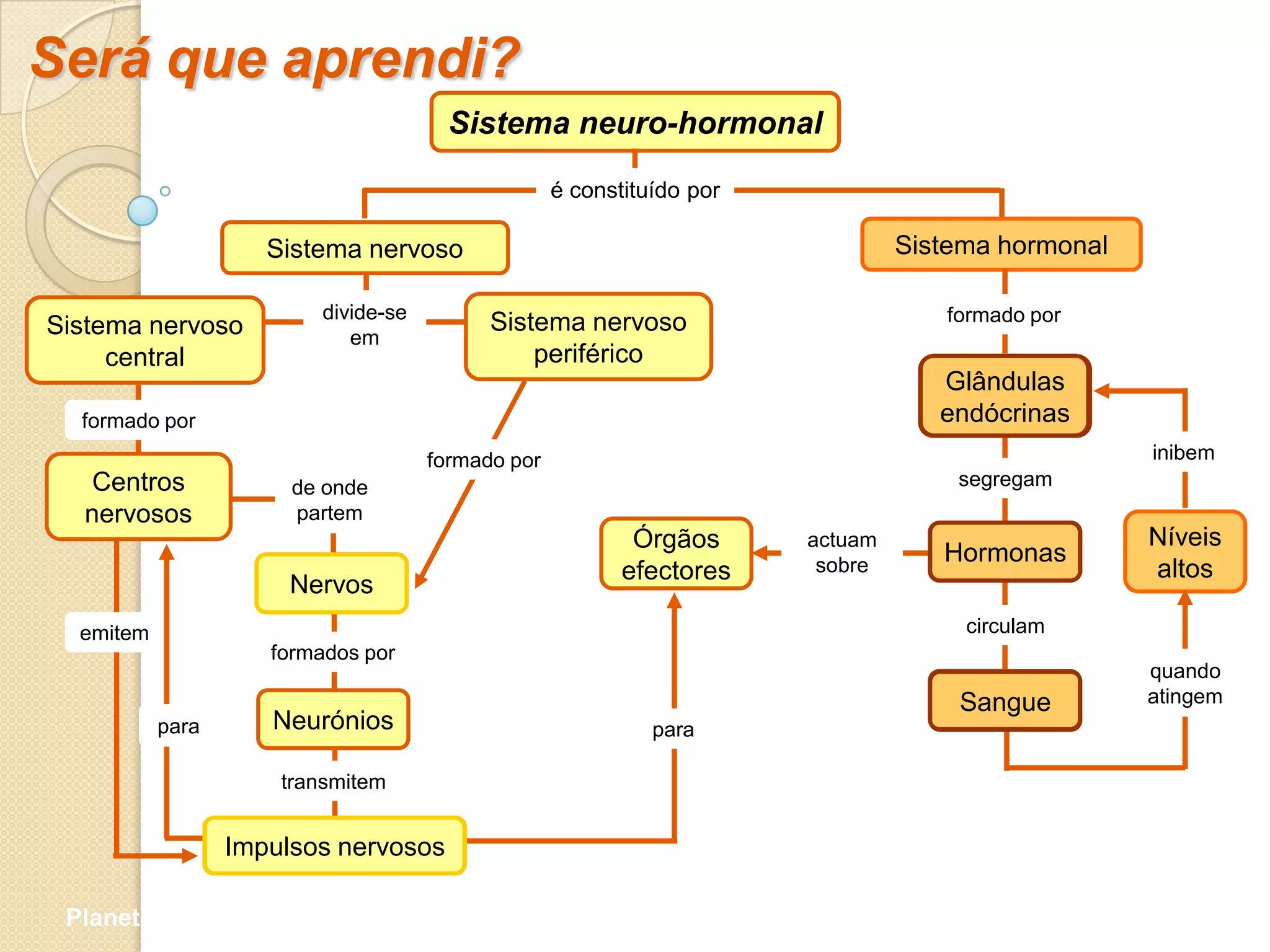 Será que aprendi?
                                       Sistema neuro-hormonal

                                                   é constituído por

                     Sistema nervoso                                            Sistema hormonal

                         divide-se                                                 formado por
Sistema nervoso                            Sistema nervoso
                            em
     central                                   periférico
                                                                                   Glândulas
  formado por                                                                      endócrinas
                                     formado por                                                   inibem
   Centros             de onde                                                      segregam
  nervosos             partem
                                                           Órgãos      actuam                      Níveis
                                                                        sobre
                                                                                   Hormonas
                                                          efectores                                altos
                       Nervos
  emitem                                                                             circulam
                     formados por
                                                                                                   quando
                                                                                    Sangue         atingem
           para      Neurónios                               para

                      transmitem


                  Impulsos nervosos

 Planeta Terra — 9.º ano
 