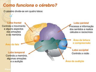 Como funciona o cérebro?
 O cérebro divide-se em quatro lobos:



    Lobo frontal                               Lobo parietal
Controla o movimento                      Processa a informação
 e alguns aspectos                        dos sentidos e realiza
   das emoções                             cálculos e raciocínios
   e da memória

                                              Área da leitura
                                              e compreensão
  Área da fala

                                             Lobo occipital
     Lobo temporal                           Controla a visão
   Controla a memória,
    algumas emoções
       e a audição                      Área da audição


  Planeta Terra — 9.º ano
 