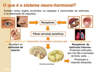 O que é o sistema neuro-hormonal?
Existem vários órgãos envolvidos na captação e transmissão de estímulos
e na elaboração de respostas…


                                      Receptores



                              Fibras nervosas sensitivas


                          transmitem os impulsos nervosos aos
    Recebem os                                                       Receptores de
   estímulos do                                                  estímulos internos -
     exterior.                                                    Produzem estímulos
                                                                que nos dão a sensação
                                                                    de fome, sede, …
                                                                       Processam a
                                                                   resposta adequada.
                                    Centros nervosos

Planeta Terra — 9.º ano
 