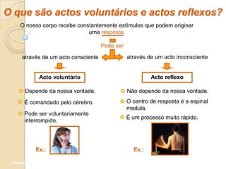 O que são actos voluntários e actos reflexos?
     O nosso corpo recebe constantemente estímulos que podem originar
                              uma resposta.

                                     Pode ser

     através de um acto consciente              através de um acto inconsciente


              Acto voluntário                            Acto reflexo

       Depende da nossa vontade.                Não depende da nossa vontade.

       É comandado pelo cérebro.                O centro de resposta é a espinal
                                                medula.
       Pode ser voluntariamente
                                                É um processo muito rápido.
       interrompido.




            Ex.:                                  Ex.:

 Planeta Terra — 9.º ano
 