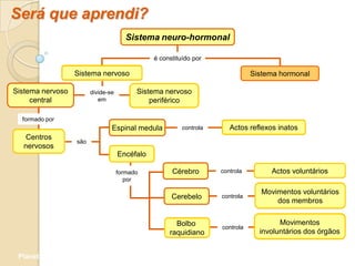 Será que aprendi?
                                       Sistema neuro-hormonal

                                               é constituído por

                  Sistema nervoso                                              Sistema hormonal

Sistema nervoso         divide-se         Sistema nervoso
     central               em                 periférico

  formado por
                                Espinal medula           controla      Actos reflexos inatos
   Centros
                  são
  nervosos
                                    Encéfalo

                                    formado          Cérebro        controla        Actos voluntários
                                       por

                                                                                  Movimentos voluntários
                                                     Cerebelo       controla
                                                                                      dos membros


                                                      Bolbo                            Movimentos
                                                                    controla
                                                    raquidiano                   involuntários dos órgãos


 Planeta Terra — 9.º ano
 