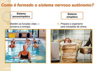 Como é formado o sistema nervoso autónomo?
            Sistema                        Sistema
         parassimpático                   simpático

    Mantém as funções vitais —    Prepara o organismo
      conserva a energia.            para situações de stress.




 Planeta Terra — 9.º ano
 