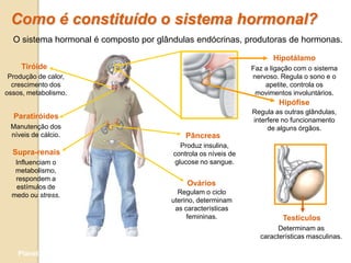 Como é constituído o sistema hormonal?
  O sistema hormonal é composto por glândulas endócrinas, produtoras de hormonas.

                                                                      Hipotálamo
     Tiróide                                                    Faz a ligação com o sistema
 Produção de calor,                                             nervoso. Regula o sono e o
  crescimento dos                                                   apetite, controla os
ossos, metabolismo.                                              movimentos involuntários.
                                                                        Hipófise
                                                                Regula as outras glândulas,
  Paratiróides                                                  interfere no funcionamento
 Manutenção dos                                                      de alguns órgãos.
 níveis de cálcio.                          Pâncreas
                                          Produz insulina,
  Supra-renais                          controla os níveis de
   Influenciam o                        glucose no sangue.
   metabolismo,
   respondem a
   estímulos de
                                            Ovários
  medo ou stress.                        Regulam o ciclo
                                       uterino, determinam
                                        as características
                                            femininas.                   Testículos
                                                                        Determinam as
                                                                  características masculinas.

    Planeta Terra — 9.º ano
 