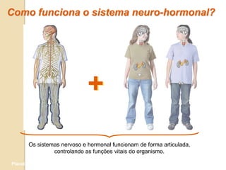 Como funciona o sistema neuro-hormonal?




                              +
        Os sistemas nervoso e hormonal funcionam de forma articulada,
                 controlando as funções vitais do organismo.

Planeta Terra — 9.º ano
 