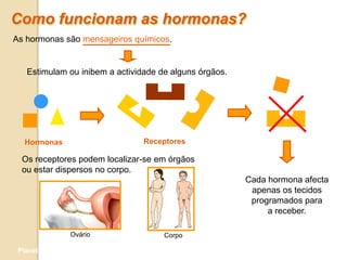 Como funcionam as hormonas?
As hormonas são mensageiros químicos.


   Estimulam ou inibem a actividade de alguns órgãos.




   Hormonas                     Receptores

  Os receptores podem localizar-se em órgãos
  ou estar dispersos no corpo.
                                                        Cada hormona afecta
                                                         apenas os tecidos
                                                         programados para
                                                             a receber.

                 Ovário              Corpo

 Planeta Terra — 9.º ano
 