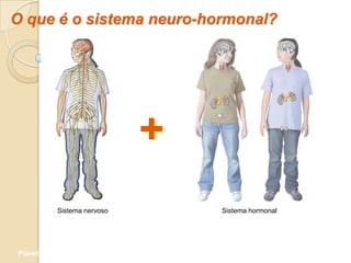 O que é o sistema neuro-hormonal?




                             +
           Sistema nervoso       Sistema hormonal




Planeta Terra — 9.º ano
 