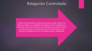 Relajación Controlada
Cuando se interrumpe la estimulación de la unidad motora, sus
fibras se relajan y se restablece la longitud normal. Mediante un
control de esta reducción de la estimulación de la unidad motora,
puede producirse un alargamiento preciso del músculo que
permita la realización de un movimiento suave y deliberado.
 