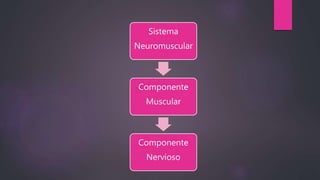 Sistema
Neuromuscular
Componente
Muscular
Componente
Nervioso
 