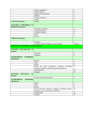 malar o cigomático 2
maxilar inferior 1
unguis o hueso lagrimal 2
palatino 2
cornetes inferiores 2
vómer 1
CUELLO (1 hueso) hioides 1
COLUMNA VERTEBRAL O
RAQUIS (26 huesos)
Vértebras cervicales 7
vértebras dorsales 12
vértebras lumbares 5
sacro 1
Cóccix 1
TÓRAX (25 huesos)
esternón 1
Costillas (7 pares verdades y 5 pares falsas) 12 pares
ESQUELETO APENDICULAR (126 huesos)
CINTURA ESCAPULAR (4
huesos)
Clavícula 2
omóplato 2
EXTREMIDAD SUPERIOR
(60 huesos)
humero 2
radio 2
cúbito 2
huesos del carpo (escafoides, semilunar, piramidal,
pisiforme, trapecio, trapezoide, grande, ganchoso)
16
metacarpianos 10
falanges 28
CINTURA PELVIANA (2
huesos)
coxales o huesos de la pelvis 2
EXTREMIDAD INFERIOR
(60 huesos)
fémur 2
tibia 2
peroné 2
huesos del tarso (calcáneo, astrágalo, escafoides, primer,
segundo y tercer cuneiforme, cuboides)
14
metatarsianos 10
falanges 28
 