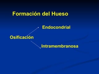 Formación del Hueso

              Endocondrial

Osificación

              Intramembranosa
 
