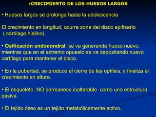 •CRECIMIENTO DE LOS HUESOS LARGOS

• Huesos largos se prolonga hasta la adolescencia

El crecimiento en longitud, ocurre zona del disco epifisario
( cartílago hialino)

• Osificación endocondral se va generando hueso nuevo,
mientras que en el extremo opuesto se va depositando nuevo
cartílago para mantener el disco.

• En la pubertad, se produce el cierre de las epífisis, y finaliza el
crecimiento en altura.

• El esqueleto NO permanece inalterable como una estructura
pasiva.

• El tejido óseo es un tejido metabólicamente activo.
 