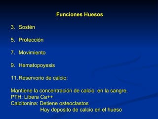 Funciones Huesos

3. Sostén

5. Protección

7. Movimiento

9. Hematopoyesis

11. Reservorio de calcio:

Mantiene la concentración de calcio en la sangre.
PTH: Libera Ca++
Calcitonina: Detiene osteoclastos
             Hay deposito de calcio en el hueso
 