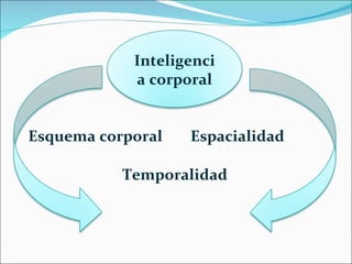 Esquema corporal Temporalidad Espacialidad Inteligencia corporal