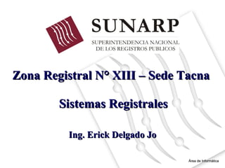 Zona Registral N° XIII – Sede Tacna  Área de Informática Ing. Erick Delgado Jo Sistemas Registrales 