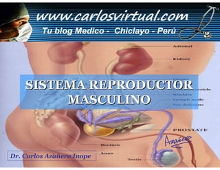 SISTEMA REPRODUCTOR
          MASCULINO



Dr. Carlos Azañero Inope Augusto Azañero Inope
                    Dr. Carlos
 