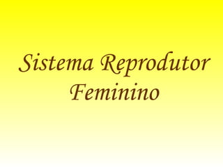 Sistema Reprodutor Feminino 