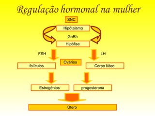 Regulação hormonal na mulher SNC Hipótalamo GnRh Hipófise  Corpo lúteo  FSH LH folículos progesterona Útero  Estrogénios  Ovários  