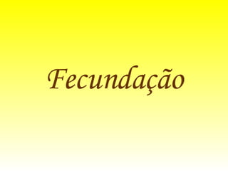 Fecundação   
