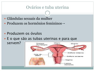 Ovários e tuba uterina
 Glândulas sexuais da mulher
 Produzem os hormônios femininos→
 Produzem os óvulos
 E o que são as tubas uterinas e para que
servem?
 