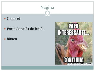 Vagina
 O que é?
 Porta de saída do bebê.
 hímen
 