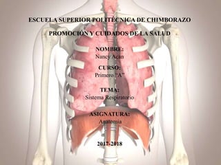 ESCUELA SUPERIOR POLITÉCNICA DE CHIMBORAZO
PROMOCIÓN Y CUIDADOS DE LA SALUD
NOMBRE:
Nancy Acan
CURSO:
Primero “A”
TEMA:
Sistema Respiratorio
ASIGNATURA:
Anatomía
2017-2018
 