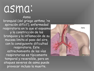 asma: Asma bronquial (del griego  asthma,  ‘respiración difícil’), enfermedad respiratoria en la que el espasmo y la constricción de los bronquios y la inflamación de su mucosa limita el paso del aire, con la consiguiente dificultad respiratoria. Este estrechamiento de las vías respiratorias es típicamente temporal y reversible, pero en ataques severos de asma puede provocar incluso la muerte. 