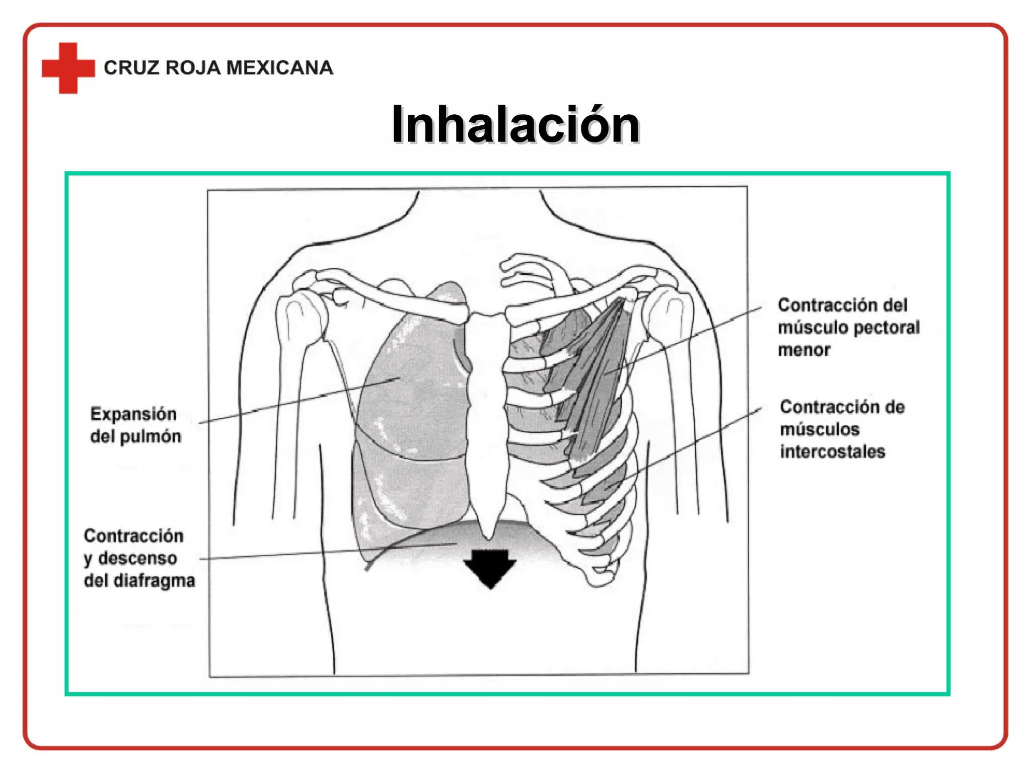 Inhalación 