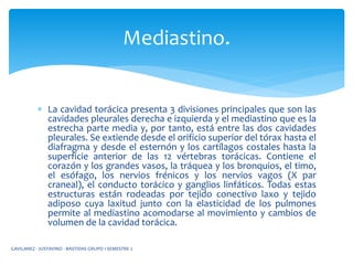  La cavidad torácica presenta 3 divisiones principales que son las
cavidades pleurales derecha e izquierda y el mediastino que es la
estrecha parte media y, por tanto, está entre las dos cavidades
pleurales. Se extiende desde el orificio superior del tórax hasta el
diafragma y desde el esternón y los cartílagos costales hasta la
superficie anterior de las 12 vértebras torácicas. Contiene el
corazón y los grandes vasos, la tráquea y los bronquios, el timo,
el esófago, los nervios frénicos y los nervios vagos (X par
craneal), el conducto torácico y ganglios linfáticos. Todas estas
estructuras están rodeadas por tejido conectivo laxo y tejido
adiposo cuya laxitud junto con la elasticidad de los pulmones
permite al mediastino acomodarse al movimiento y cambios de
volumen de la cavidad torácica.
Mediastino.
GAVILANEZ - JUSTAVINO - BASTIDAS GRUPO 1 SEMESTRE 2
 