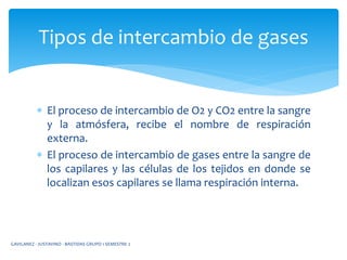  El proceso de intercambio de O2 y CO2 entre la sangre
y la atmósfera, recibe el nombre de respiración
externa.
 El proceso de intercambio de gases entre la sangre de
los capilares y las células de los tejidos en donde se
localizan esos capilares se llama respiración interna.
Tipos de intercambio de gases
GAVILANEZ - JUSTAVINO - BASTIDAS GRUPO 1 SEMESTRE 2
 