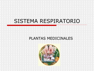 SISTEMA RESPIRATORIO PLANTAS MEDICINALES 