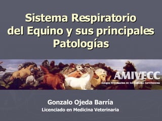 Sistema Respiratorio del Equino y sus principales Patologías Gonzalo Ojeda Barría Licenciado en Medicina Veterinaria 
