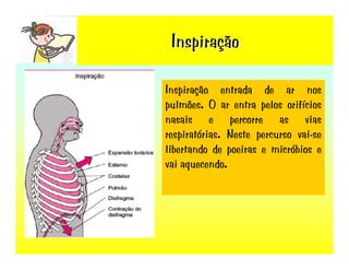 Sistema RespiratóRio
