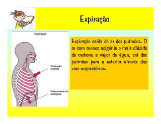Sistema RespiratóRio