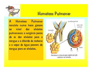 Sistema RespiratóRio
