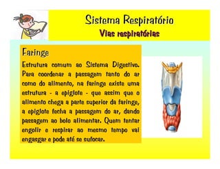 Sistema RespiratóRio