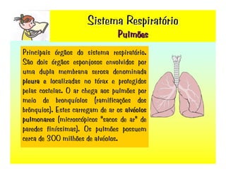 Sistema RespiratóRio