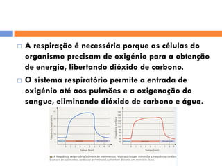Sistema RespiratóRio