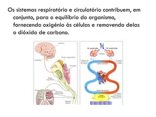 Sistema RespiratóRio