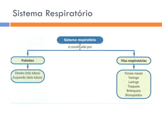 Sistema RespiratóRio