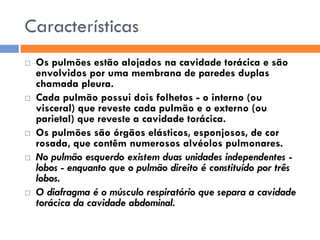 Sistema RespiratóRio