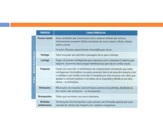 Sistema RespiratóRio
