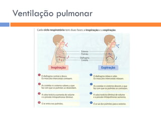Sistema RespiratóRio