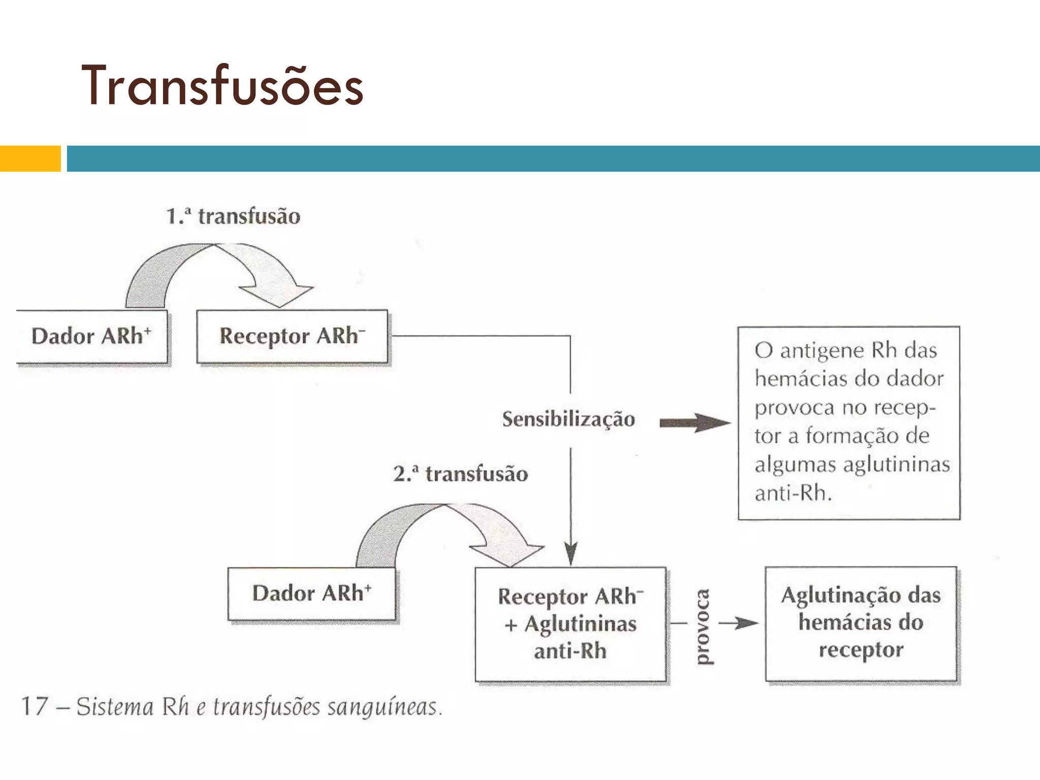 Sistema Rhesus | PPT