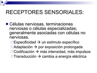 RECEPTORES SENSORIALES: <ul><li>Células nerviosas, terminaciones nerviosas o células especializadas; generalmente asociada...