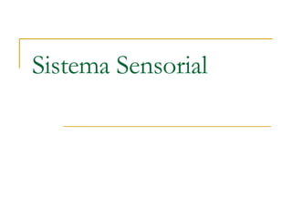 Sistema Sensorial 