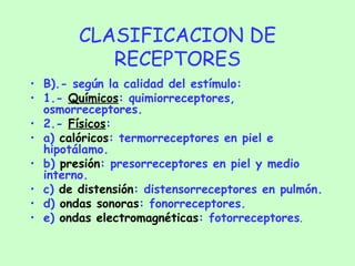 CLASIFICACION DE RECEPTORES B).- según la calidad del estímulo: 1.-  Químicos : quimiorreceptores, osmorreceptores. 2.-  Físicos :  a)  calóricos : termorreceptores en piel e hipotálamo. b)  presión : presorreceptores en piel y medio interno. c)  de distensión : distensorreceptores en pulmón. d)  ondas sonoras : fonorreceptores. e)  ondas electromagnéticas : fotorreceptores . 