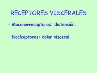 RECEPTORES VISCERALES Mecanorreceptores: distensión. Nociceptores: dolor visceral . 