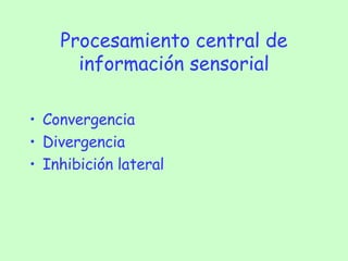 Procesamiento central de información sensorial Convergencia Divergencia Inhibición lateral 