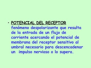 POTENCIAL DEL RECEPTOR   fenómeno despolarizante que resulta de la entrada de un flujo de corriente acercando el potencial de membrana del receptor sensitivo al umbral necesario para descencadenar un  impulso nervioso o lo supera. 